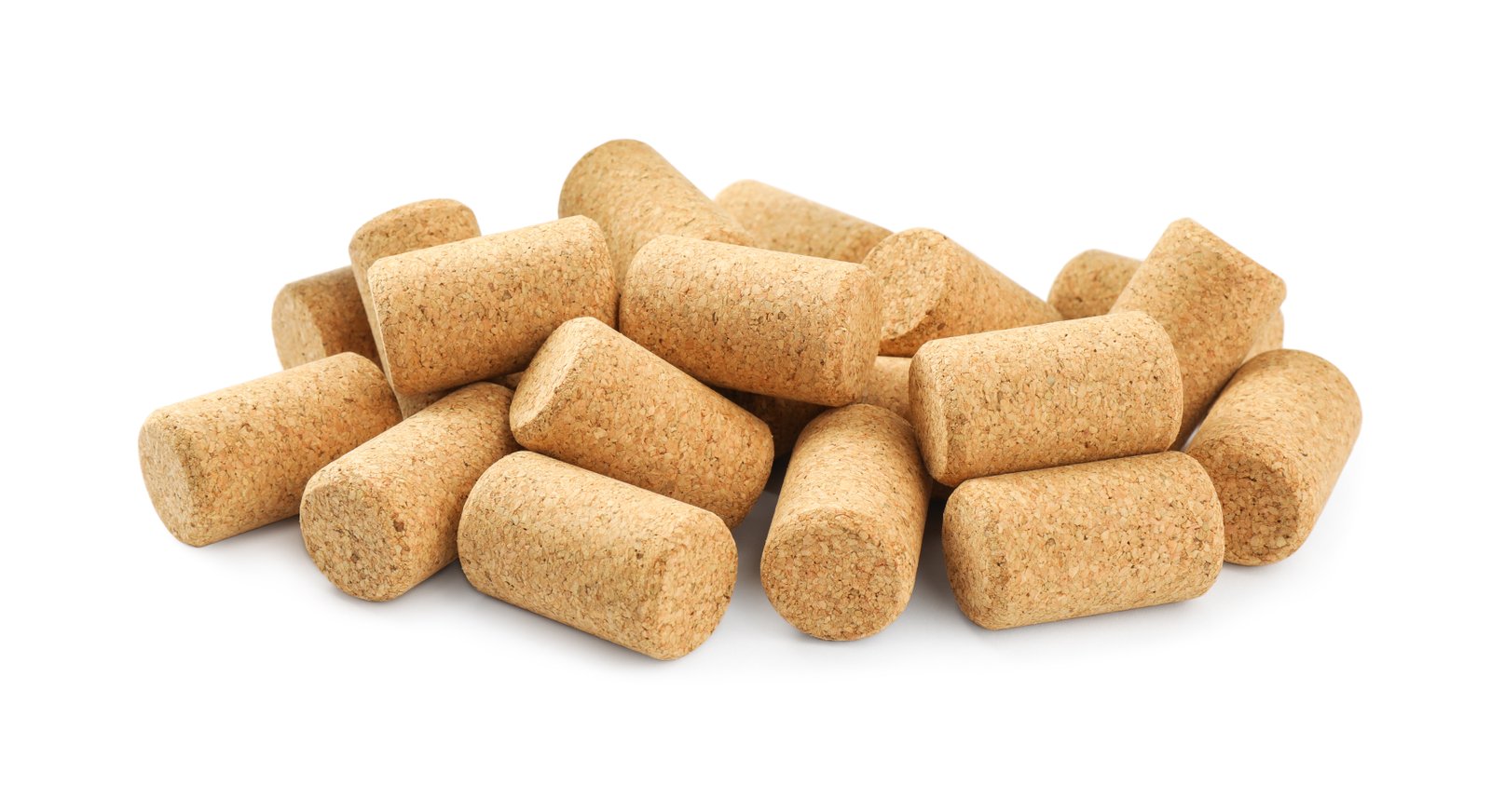 Bio Briquettes Manufacturing